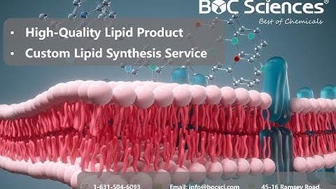 Lipids - Fatty Acids, Phospholipids, Terpenes - Structure of Lipids