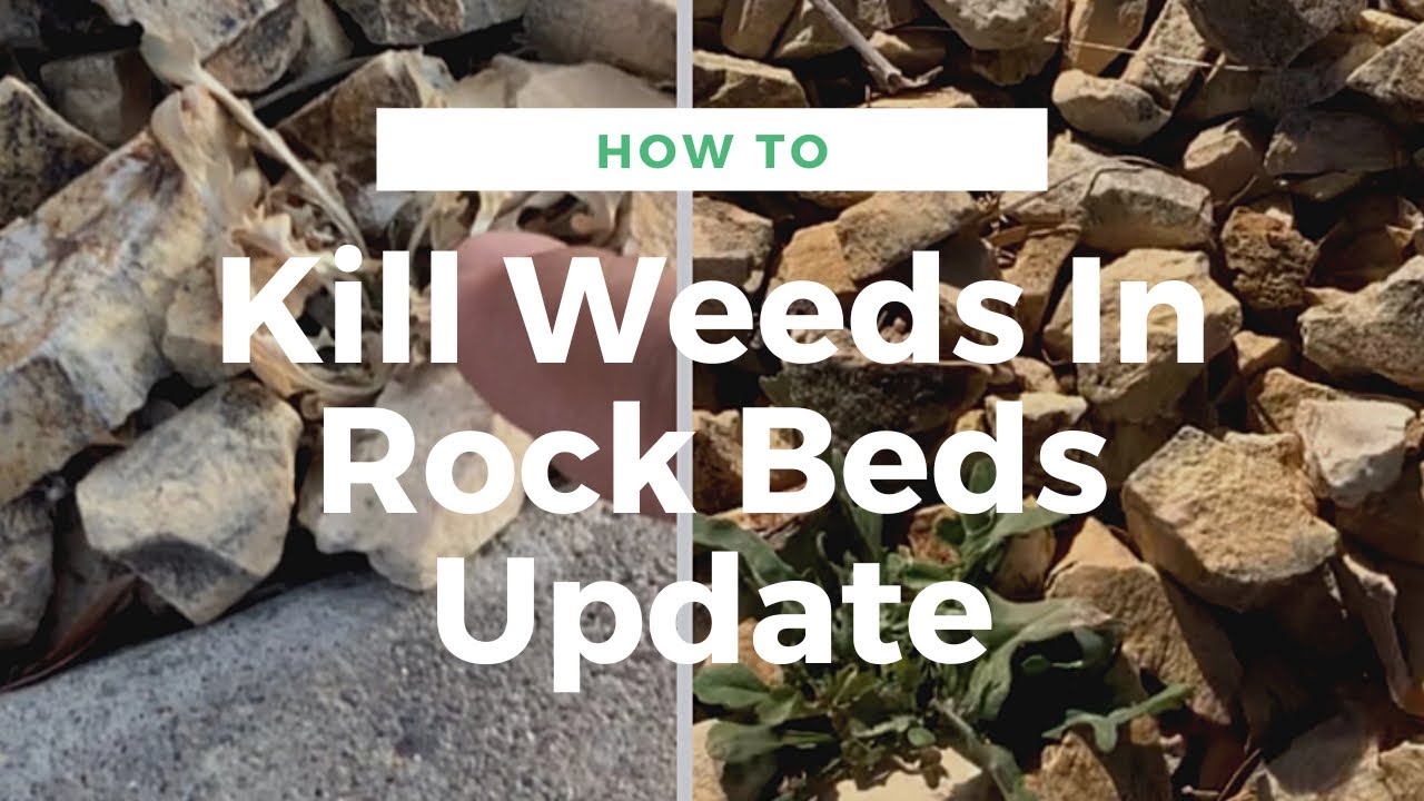 Rock Disposal: Best Ways to Get Rid of Unwanted Rocks