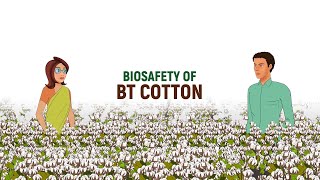 Biosafety of BT Cotton