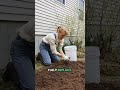 Top 5 Beginner Gardening Mistakes