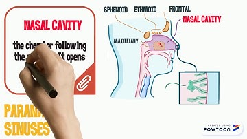 LAB # 3 nursing informatics (MANGUERRA)