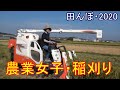 稲刈り2日目・最後の稲刈り　田んぼ・2020