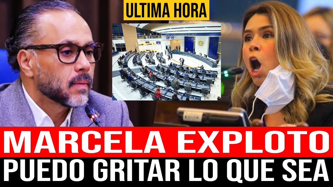 MARCELA EXPLOTO EN LA PLENARIA Y ASI REACCIONO ! PUEDO GRITAR LO QUE QUIERA Y CUANDO QUIERA !