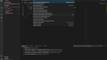 Downloading Metadata with ApexAssist