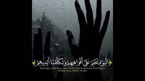 حالات واتس - القرآن الكريم - اليوم نختم على افواههم وتكلمنا ايديهم