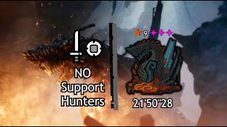 Solo SNS vs Gogmazios 21'5028 (No support hunters in party)