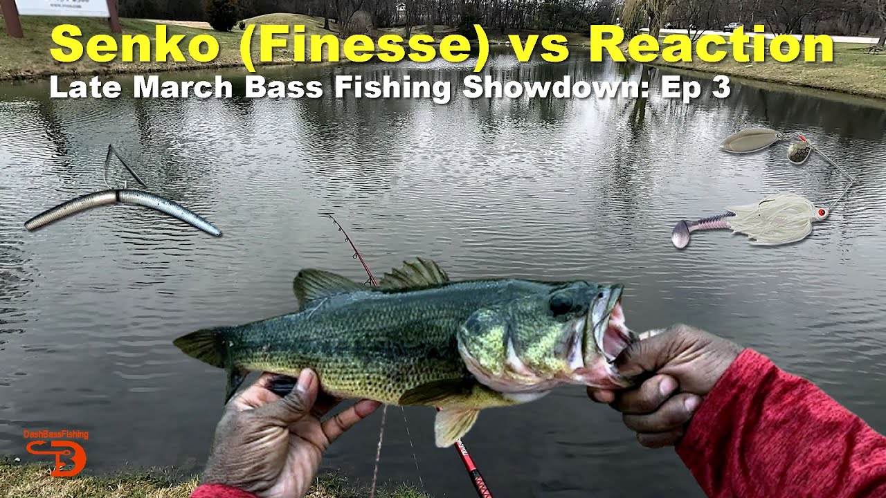 Late March Bass Fishing: Senko vs Reaction Baits (Ep. 3 Showdown)