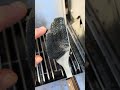 WOW this bristle free grill brush works great!
