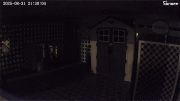 SONOFF CAM-PT2 indoor security camera (Night Infrared sample)