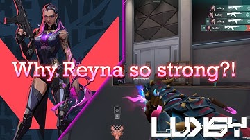 "Reyna players are a bad human beings"