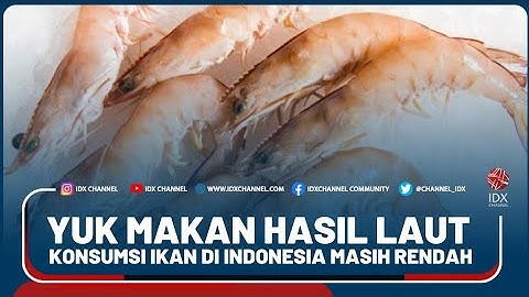 YUK MAKAN HASIL LAUT, KONSUMSI IKAN DI INDONESIA MASIH RENDAH - MARKET REVIEW PART 1
