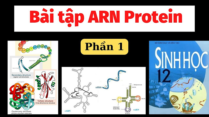 So sánh cấu trúc chức năng adn arn và protein