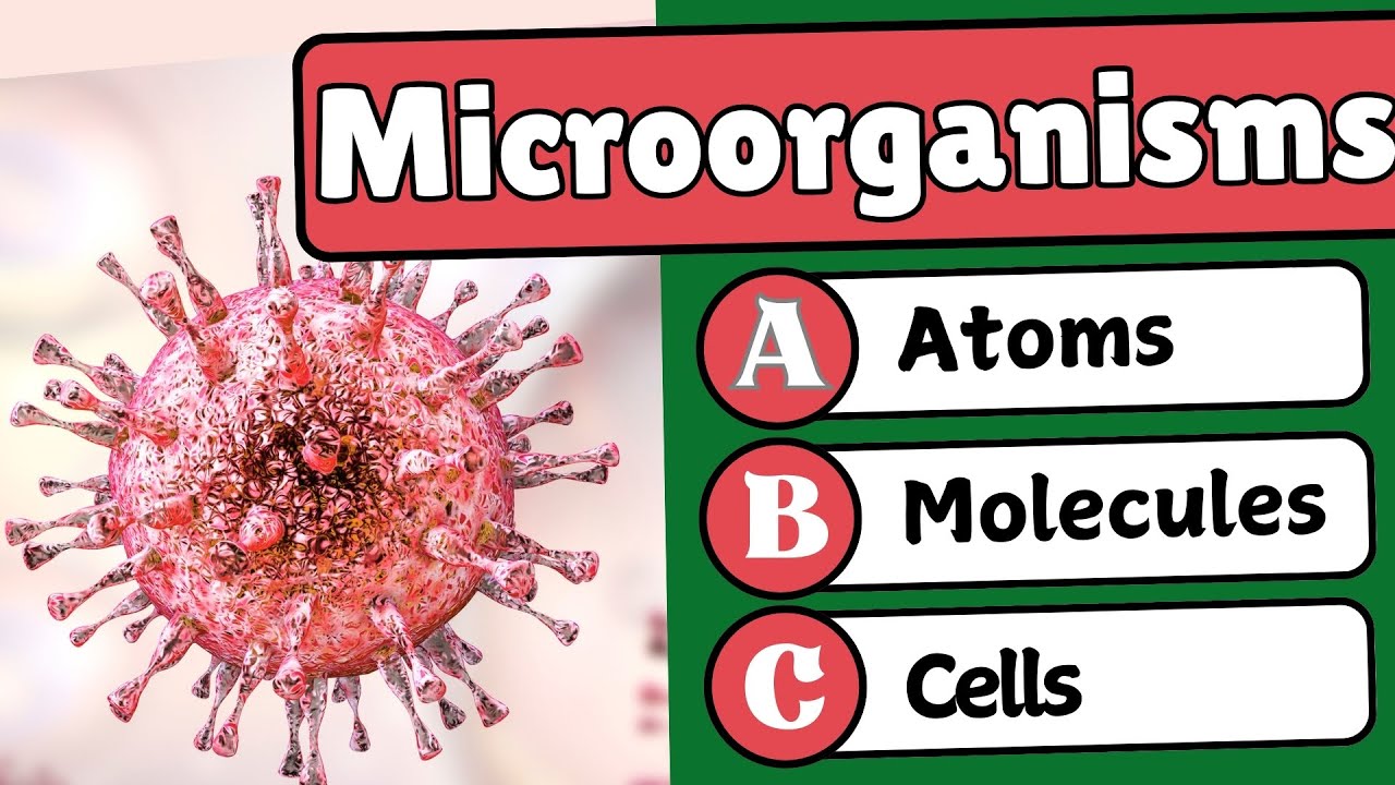 5 Essential Microorganisms Facts Every Science Enthusiast Needs - YouTube