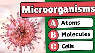 5 Essential Microorganisms Facts Every Science Enthusiast Needs