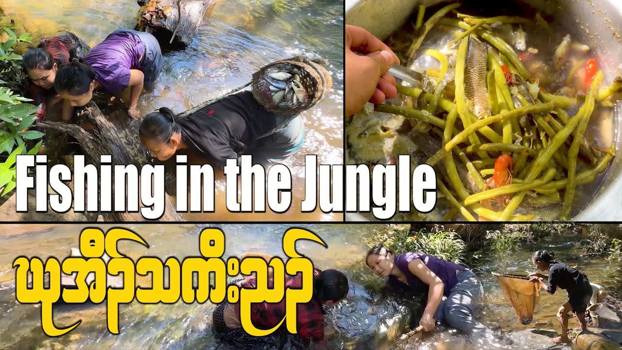 Traditional Fishing and Cooking in the Jungle – Village Life