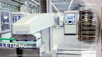 Palletizing Robot BPR25 for small footprints and flexible use
