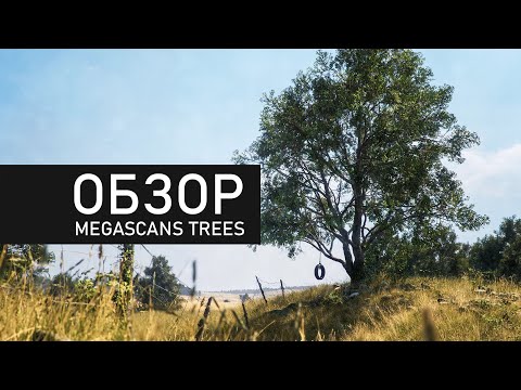Обзор Megascans Trees / замена speedtree или нет?