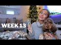 VLOG WEEK 13 | DECORATE THE HOUSE FOR CHRISTMAS WITH US