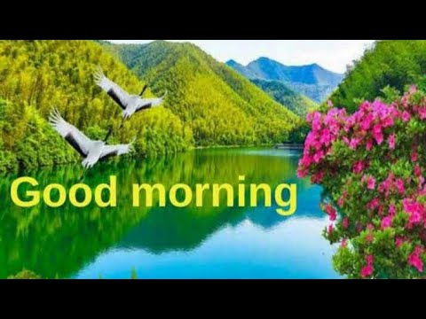 Good morning good morning wishesgood morning imagesgood morning video statuspls do subscribe