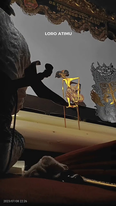 STORY WA WAYANG KULIT 30 DETIK#shorts