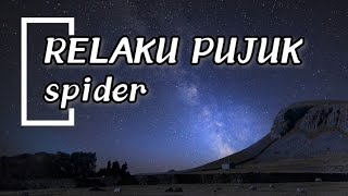Relaku pujuk - spider lyrics 