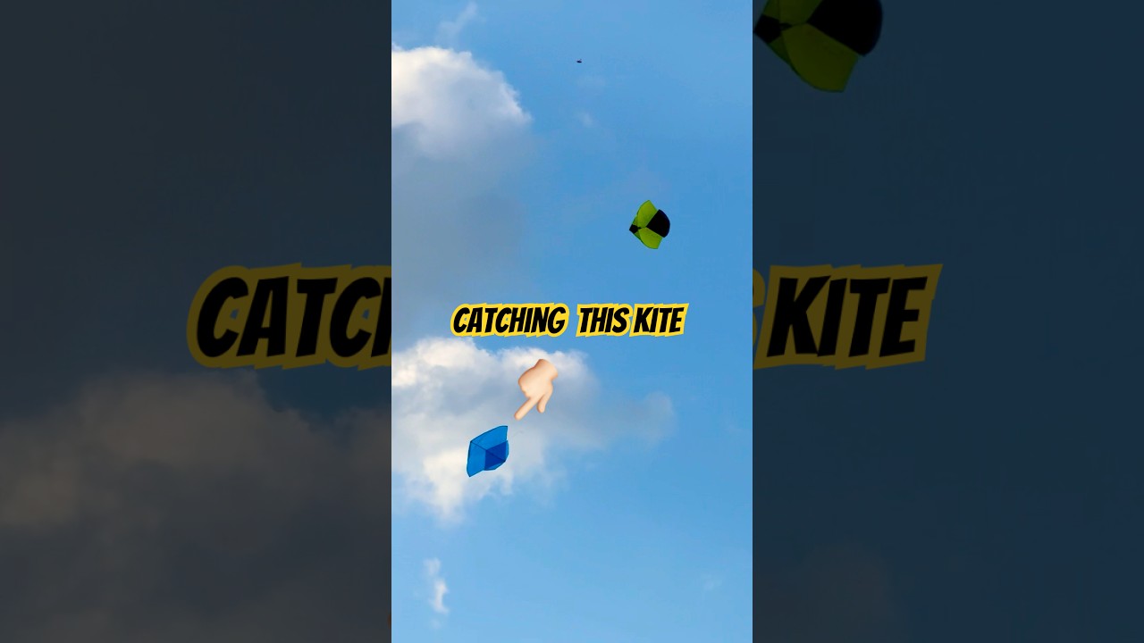 Wait for last catching kite🤩