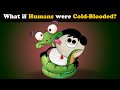 What if humans were coldblooded  mores  aumsum kids science education children