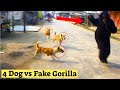 3 Dogs vs Fake Gorilla | Dog Attacking Fake Gorilla | Gorilla Pranks Goes Wrong | Try To Stop Laugh