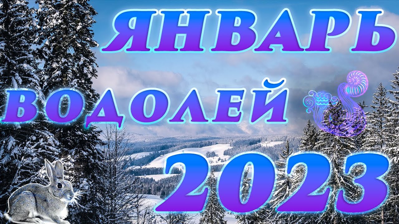 Новинки января 2023 года