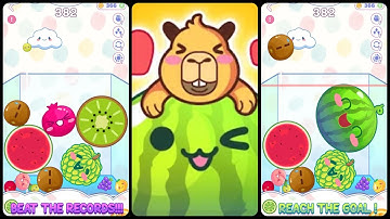 Watermelon Drop: Fruit Merge Gameplay Video for Android Mobile