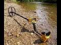 Garrett Ace 400i in water and on pasture