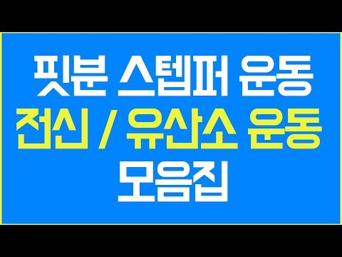 스텝퍼를 이용한 전신운동, 유산소운동 모음집   핏분 유쾌한 홈트레이닝