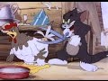 Tom and Jerry - Fine Feathered Friend