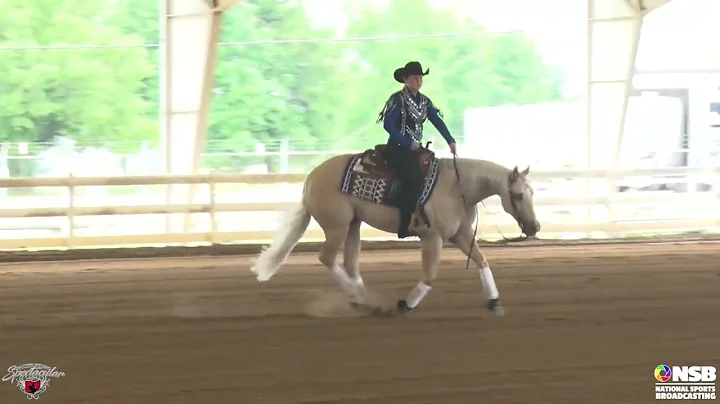220526 Novice Horse Non Pro Tracey Pearson on Surf...