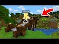 ESSA PONTE FICOU LINDA!! | Minecraft 1.14