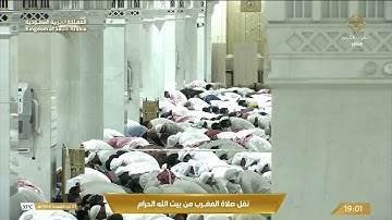 سورتي البينة و الزلزلة - صلاة المغرب 1 ذي القعدة 1446 - تلاوة الشيخ د. بندر بليلة