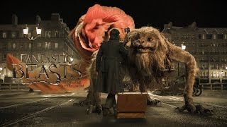 شخص يحاول امساك الوحوش الهاربه منه | ملخص فيلم fantastic beast and where to find them