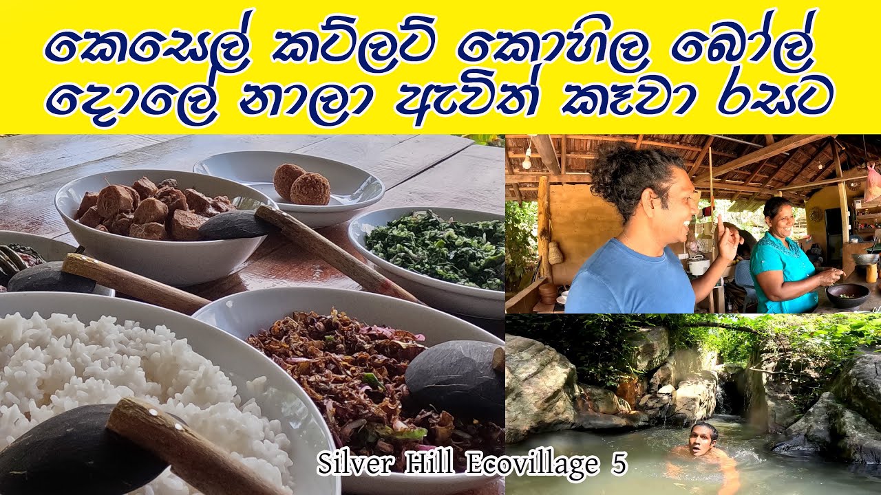 ගමේ ඇවිදලා එද්දි රසම දවල් කෑම එක ලෑස්තියි🧡 Sri Lankan Delicious Food👍 Village Tour 😍රස මොහොතක්