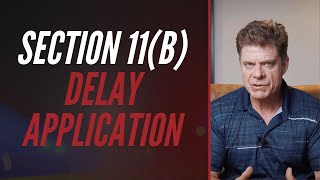 SECTION 11(B) DELAY APPLICATION screenshot 5