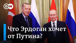 Что на самом деле Эрдоган хочет от Путина?