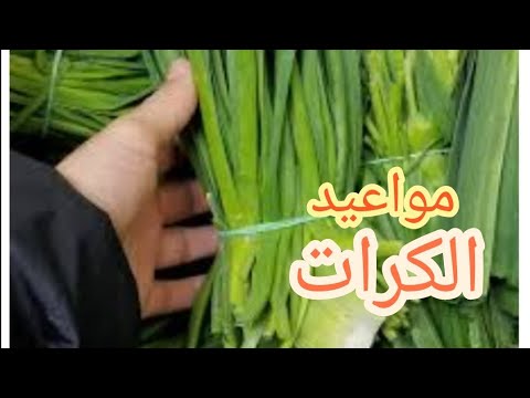 مواعيد زراعة الكرات