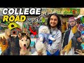 Aseel Murga Rawalpindi College Road Biggest Market | Obaid Humayun #aseelmurga #roosterfarm 