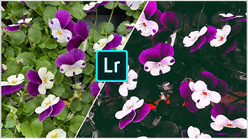 Flower | Free preset Lightroom Tutorial - How to edit a flower image