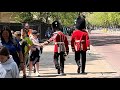 Kings guard surprises a stranger with a highfive