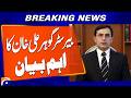Barrister Gohar Ali Khan Issues Important Statement | Breaking News | Geo News