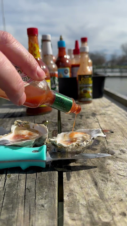 Pt. 8- Best Oyster Hot Sauces #hotsauce #oysters #oystertastetest