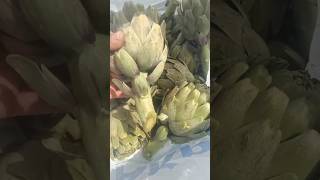 Tarladan Pazara Enginar Hasadı 🌱 Çuvallara Doldurup Kamyona Yükliyoruz Ege Enginarı Enginarcı