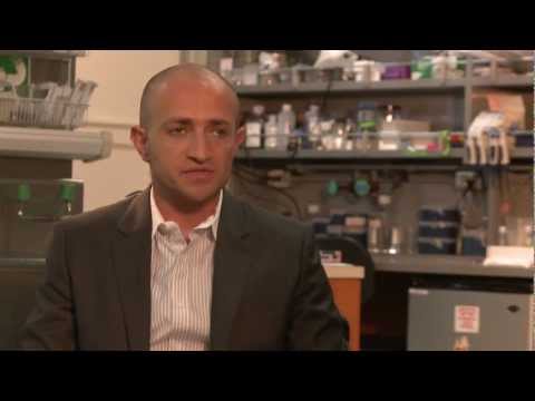 Medical Microbiologist Sarkis Mazmanian: 2012 MacArthur Fellow | MacArthur Foundation