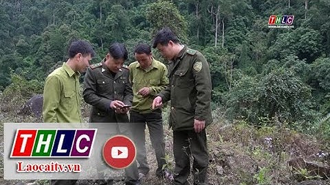 Đẩy mạnh ứng dụng công nghệ thông tin vào quản lý, bảo vệ rừng | THLC