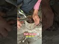 motor cutting karne ka aasan tarika #shortvideo #electricmotor